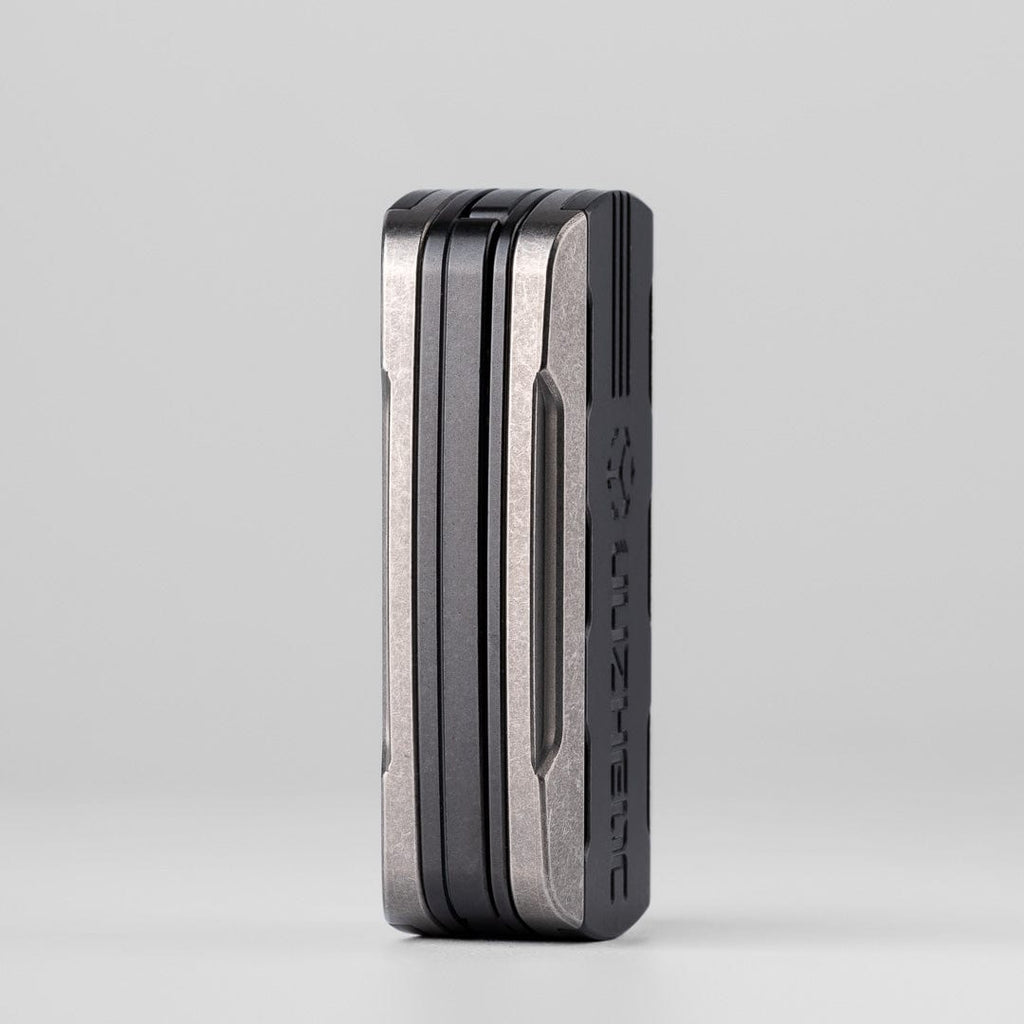 Triassic Slider