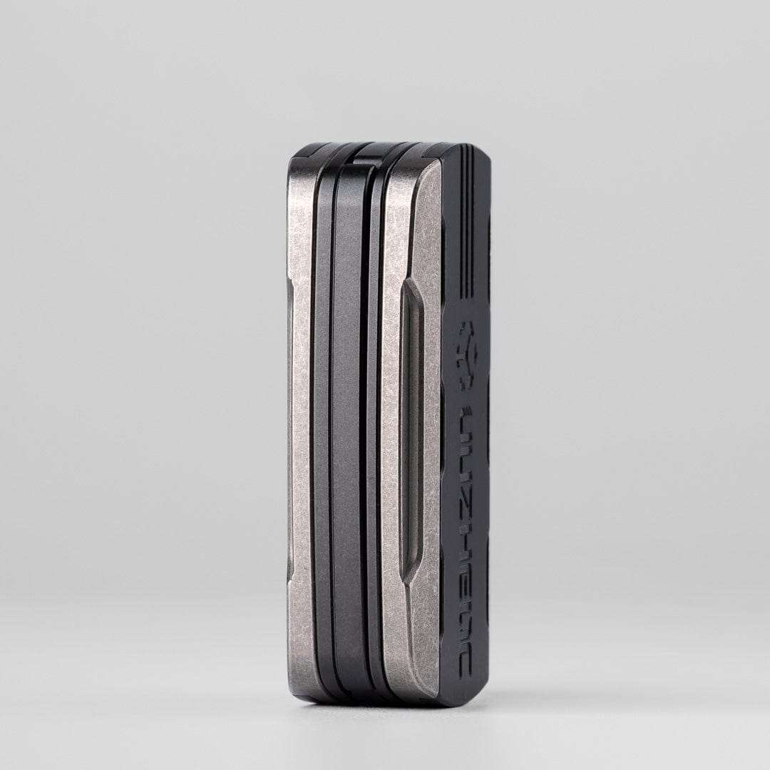 Triassic Slider