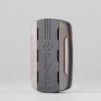 Triassic Slider